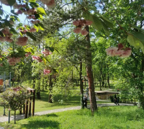 MANASTIR LJUBOSTINJA I VRNJAČKA BANJA