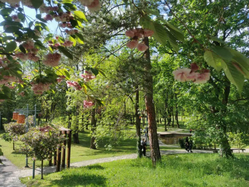 MANASTIR LJUBOSTINJA I VRNJAČKA BANJA