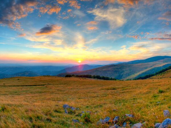 NOVI PAZAR I GOLIJA