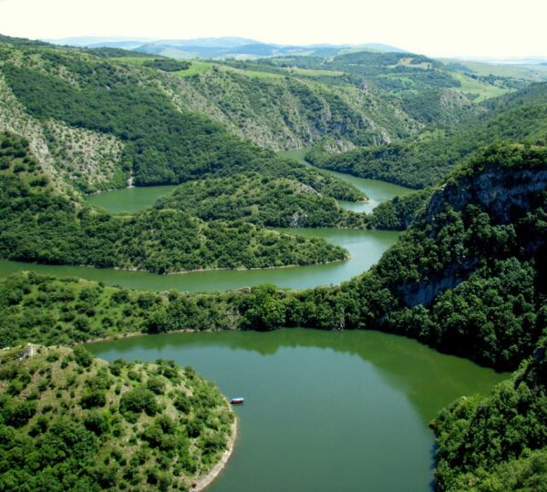 ZLATAR ZLATA VREDAN